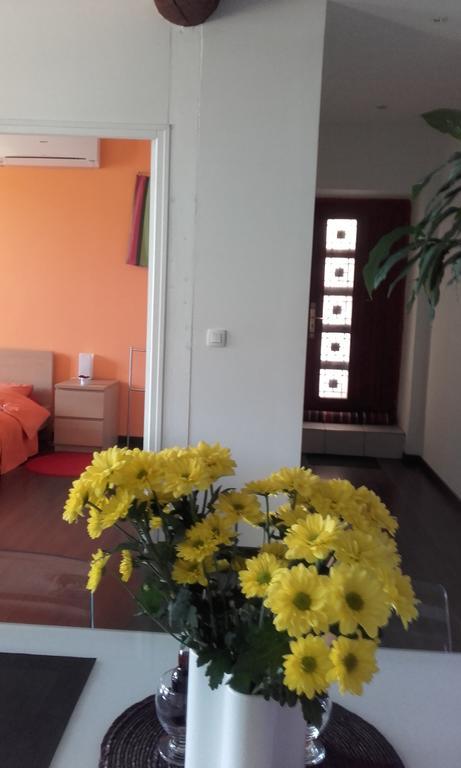 Appartement La Mediterranee Vue Sur Mer Plein Soleil 3 Climatisations Reversibles Port Vendres Ngoại thất bức ảnh